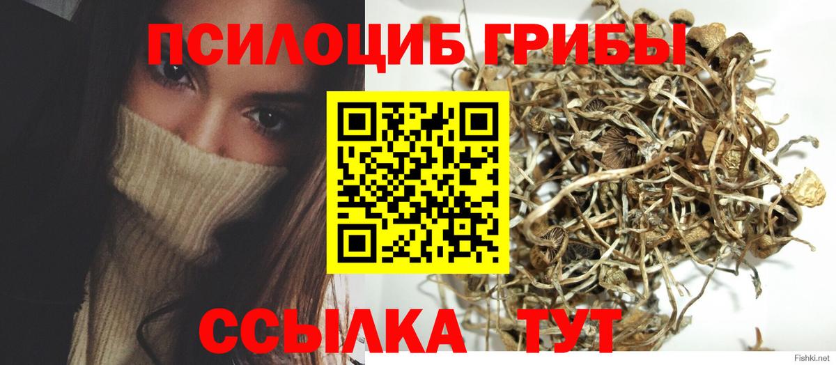 Псилоцибиновые грибы мухоморы Ачинск